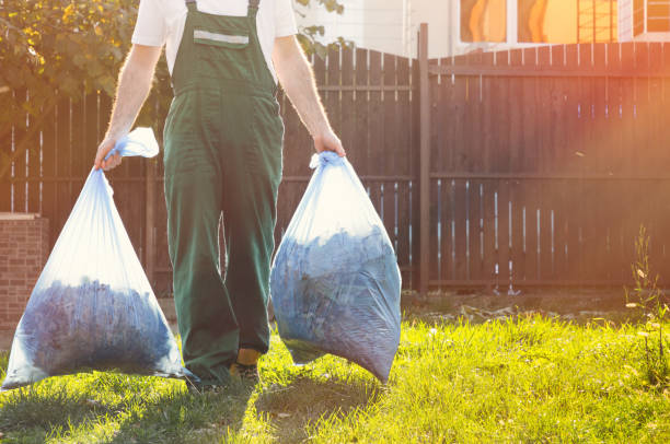 Basement Cleanout Services in Jasper, AL